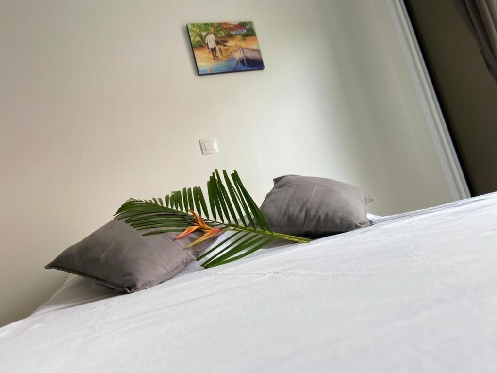 סנט-אן Residence Vwal O Van 2, Studio Plage A Proximite מראה חיצוני תמונה